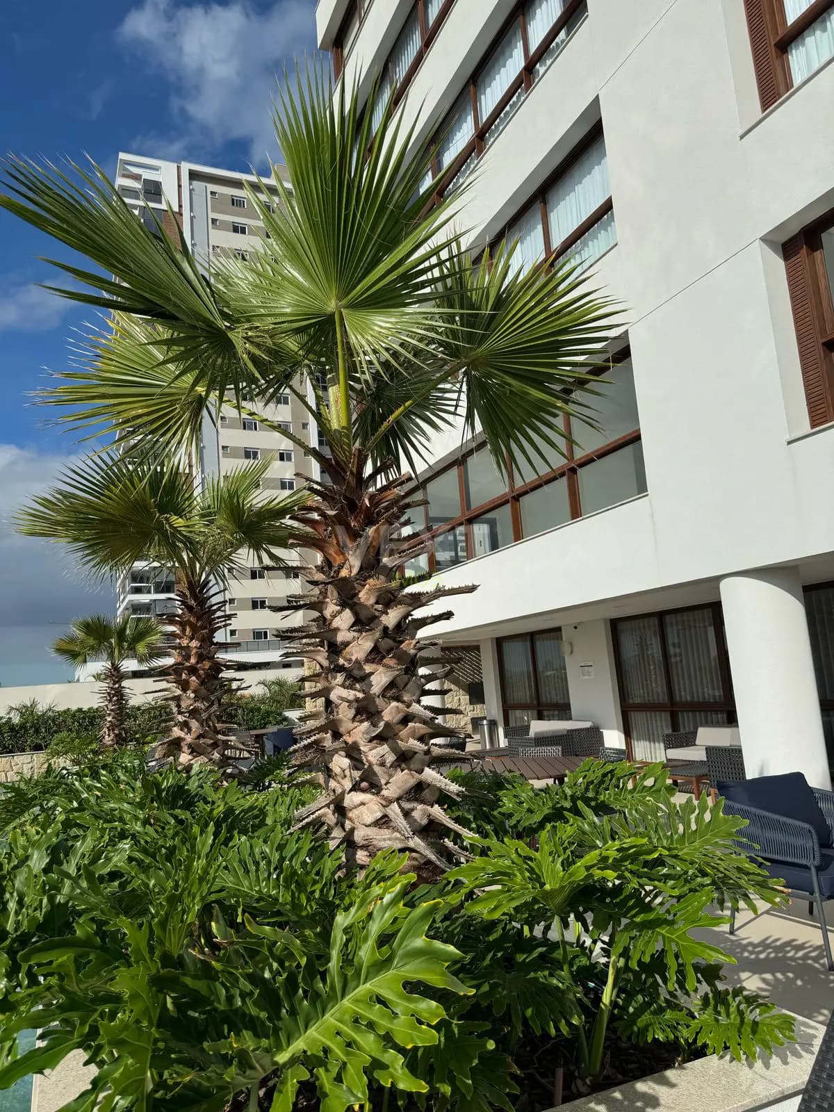 Apartamento com 4 quartos à venda no Itacolomi, Balneário Piçarras, foto 27